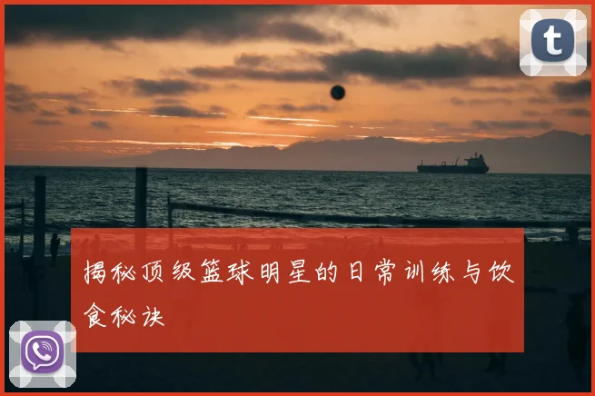 揭秘顶级篮球明星的日常训练与饮食秘诀